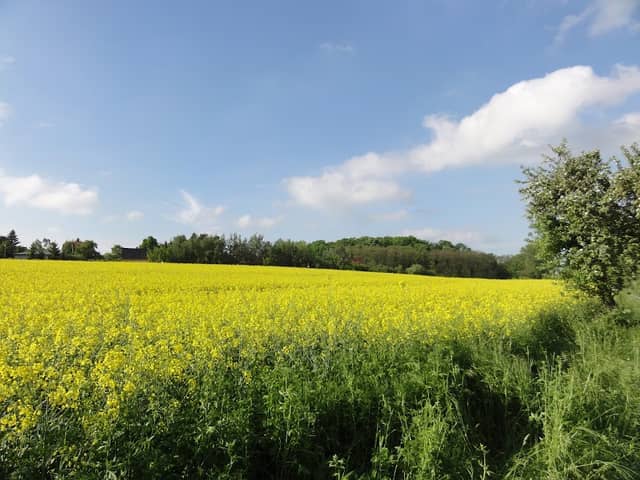 Schutzgebiet "Partheblick" - Landschaftsschutzgebiet am FFH "Partheaue" - Image 2