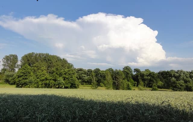 Schutzgebiet "Partheblick" - Landschaftsschutzgebiet am FFH "Partheaue" - Image 1
