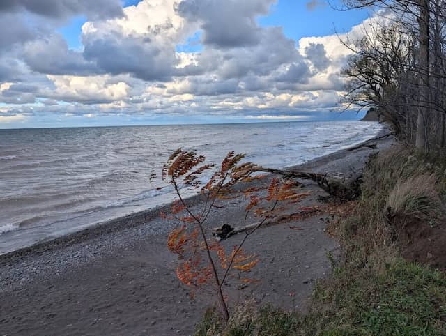 Dragon View Beach - Image 2