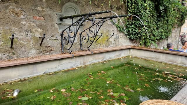 Laufbrunnen - Image 1