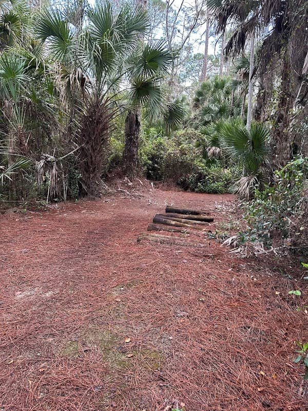 Preservation Park Trail Head - Image 2