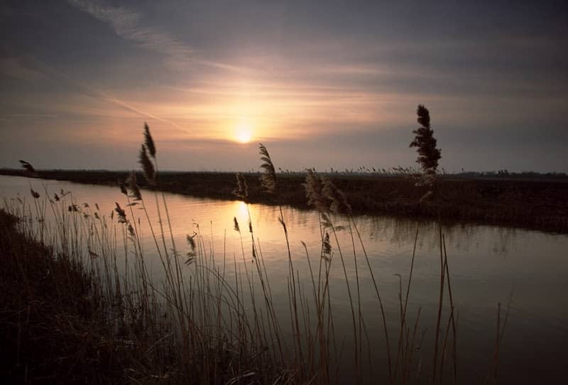 RSPB Ouse Washes - Image 1