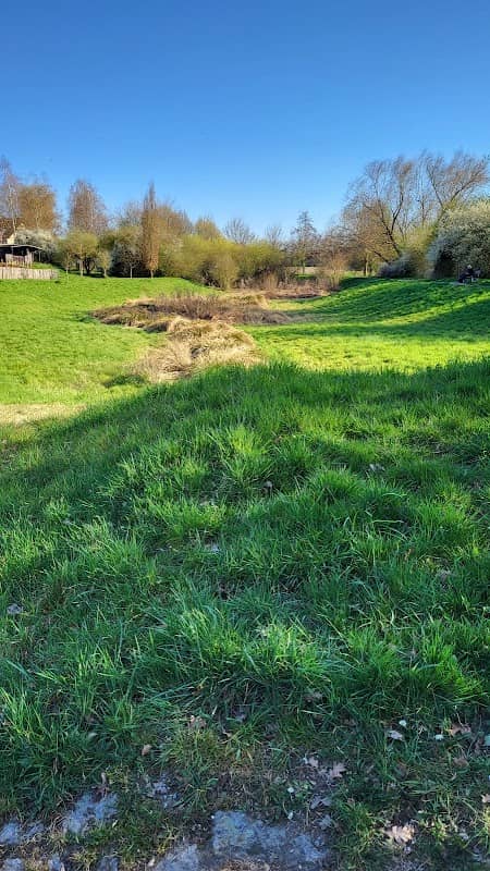 Sigi Wolf Park - Image 2