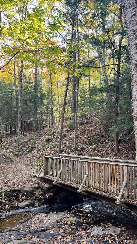 Laurentian Trails - Image 1