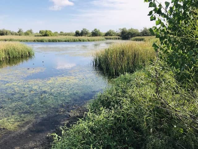 Watersong Wild Space - Image 2