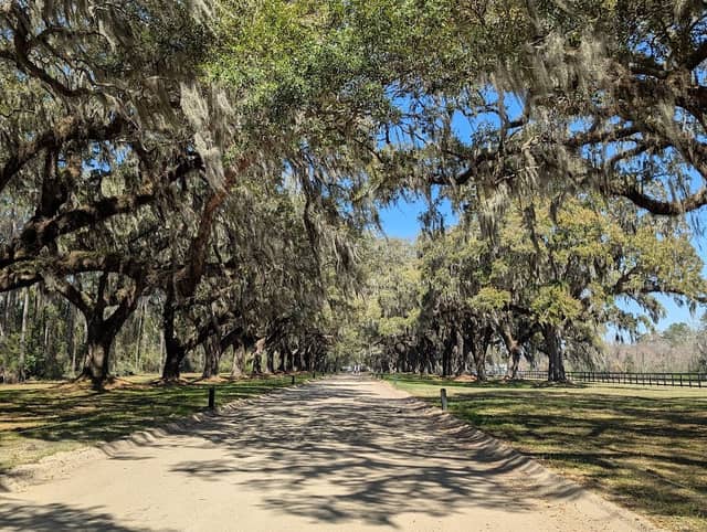 Charles Pinckney National Historic Site - Image 1