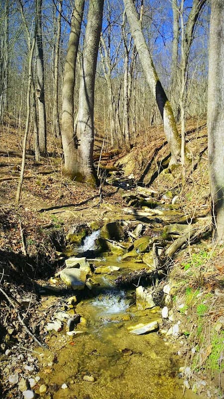 Boone County Cliffs State Nature Preserve - Image 2