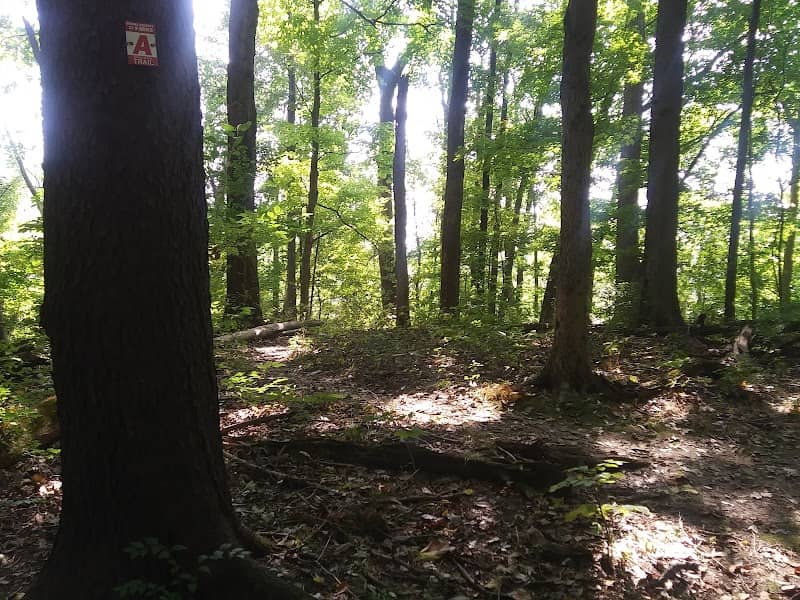 Boone County Cliffs State Nature Preserve - Image 2