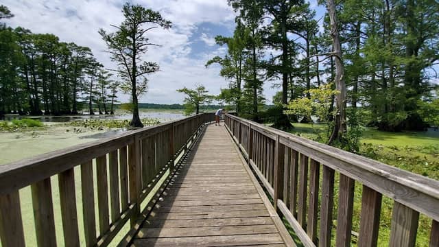 Reelfoot National Wildlife Refuge - Image 1