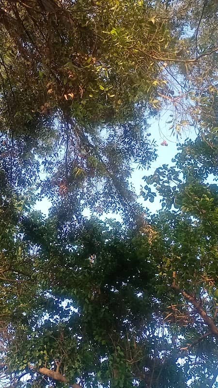 استراحة المحافظ - Image 1