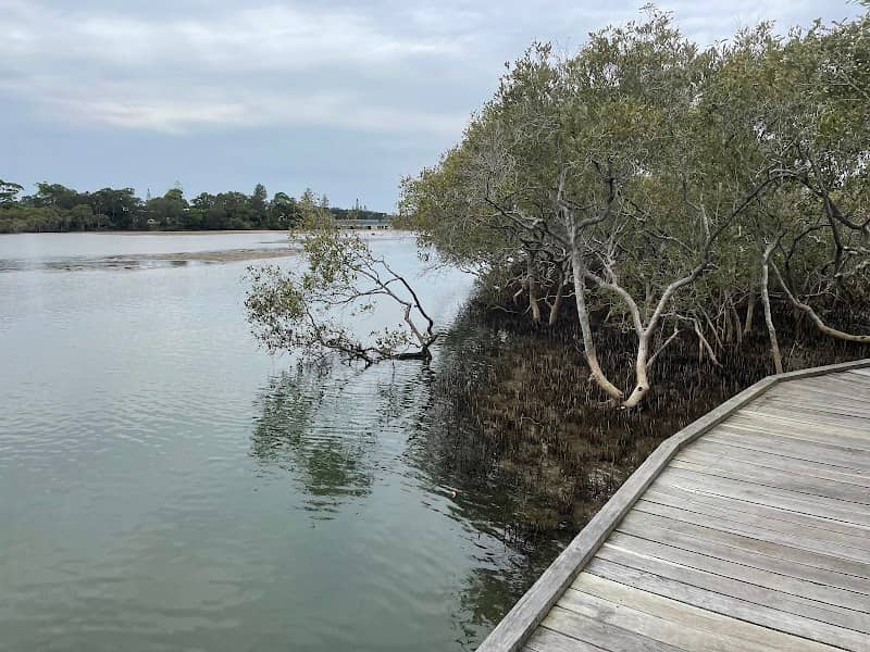 Mangrove Walk - Image 2