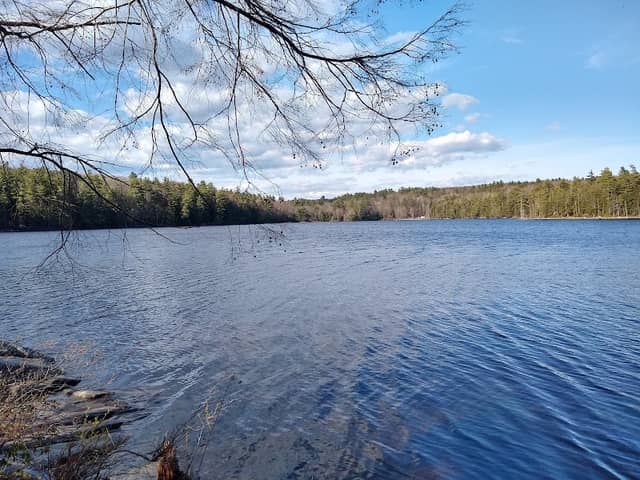 Jamies Pond - Image 2