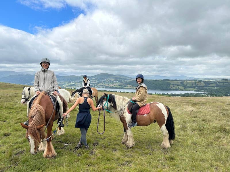 Park Foot Pony Trekking Centre - Image 1