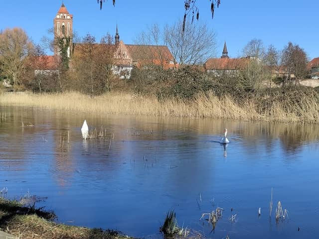 Park - Image 1