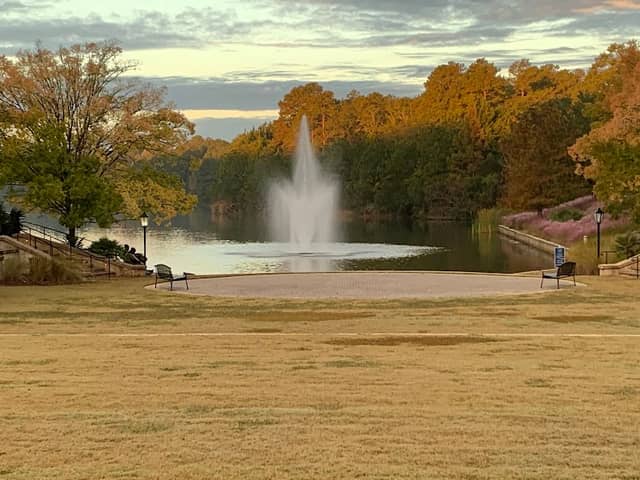 The Ponds Amphitheatre - Image 1