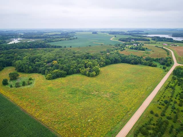 Bur Oak Wildlife Management Area - Image 1