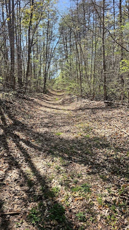 Mayo River Park Hickory Creek Access - Image 2