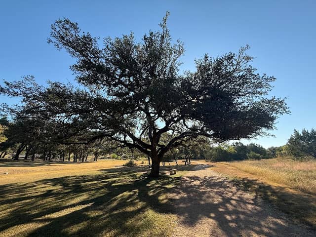 HOA Private Park - Vestal Park - Image 2