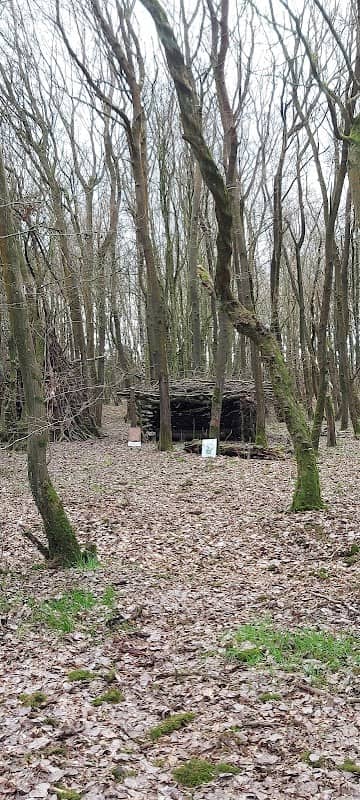 Captain's Wood - Image 1