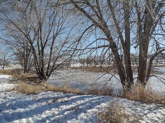 Silt River Preserve - Image 1