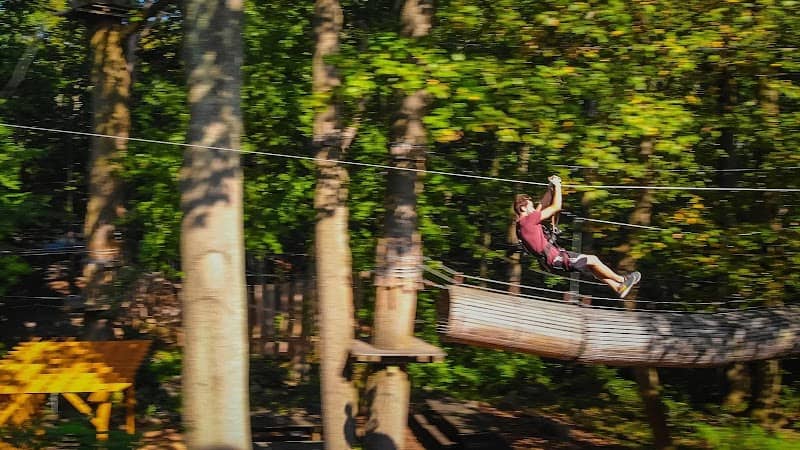 The Adventure Park at the Discovery Museum - Image 1