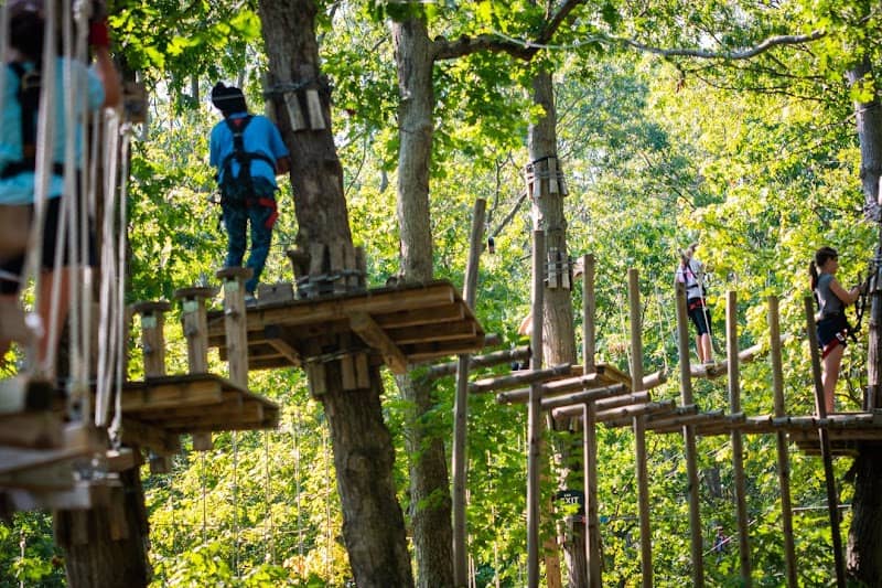 The Adventure Park at the Discovery Museum - Image 2