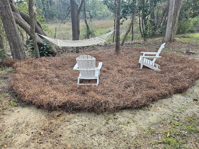 HERNANDEZ PINESTRAW - Image 2