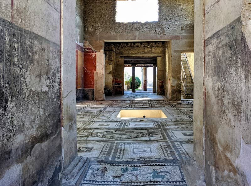 House of the Cryptoporticus - Image 2