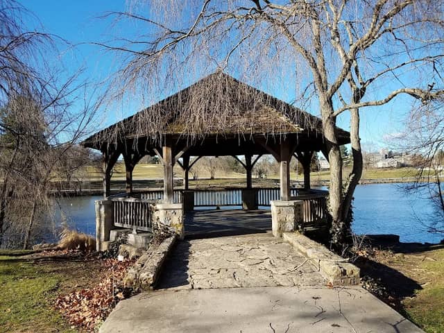 Duck Pond - Image 2