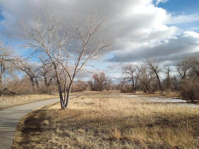 Parker Jordan Centennial Open Space - Image 1