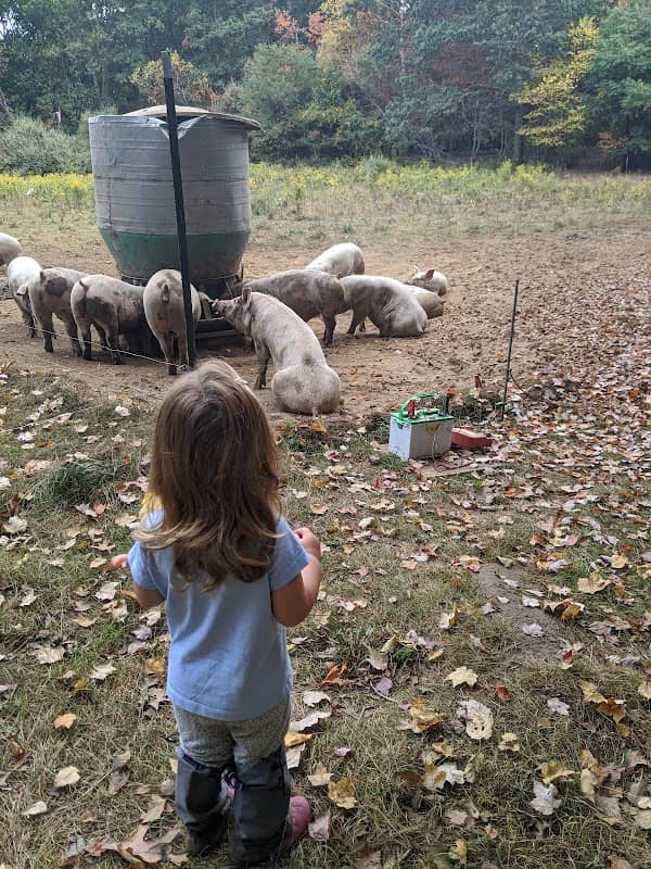 Briggs Boesch Farm - Image 3