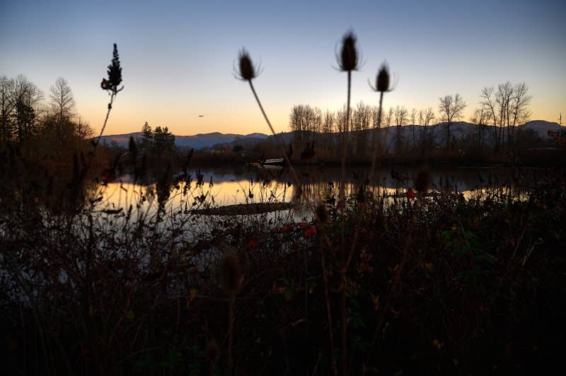 Garden Lake Park - Image 2