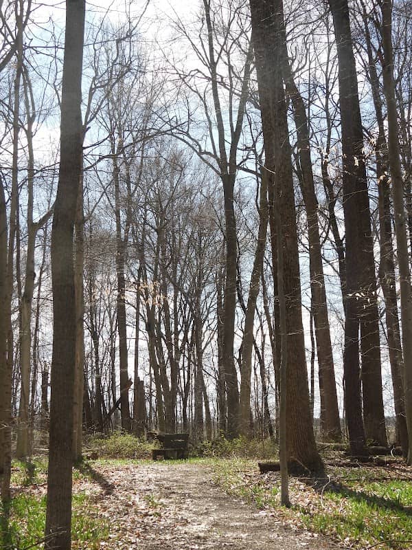 Sautter Memorial Park - Image 1