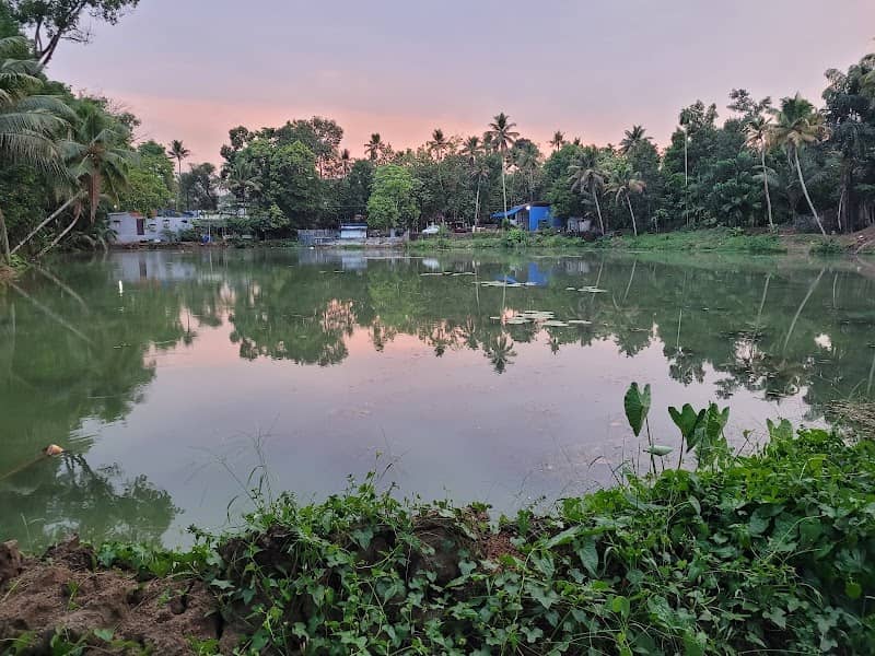 Mullapan chira - Image 2