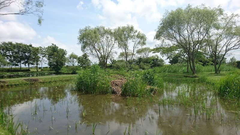 Suigo Tonbo Park - Image 1