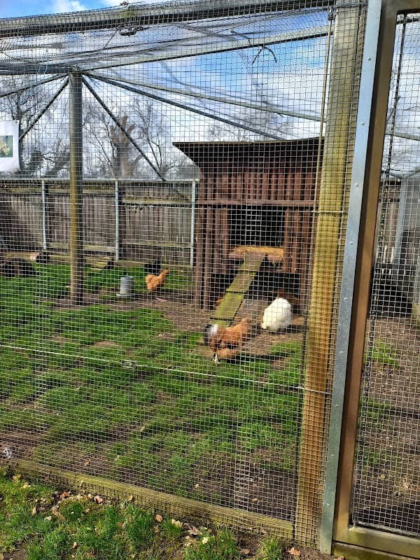 Tiergehege Am Schwanenteich - Image 1