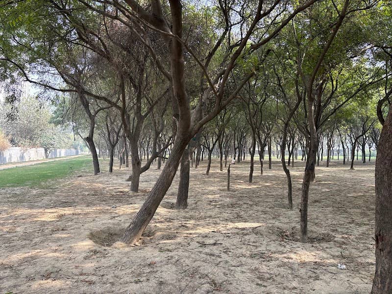 NOIDA Authority Park - Image 1