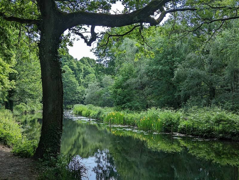 Brookwood Country Park - Image 2