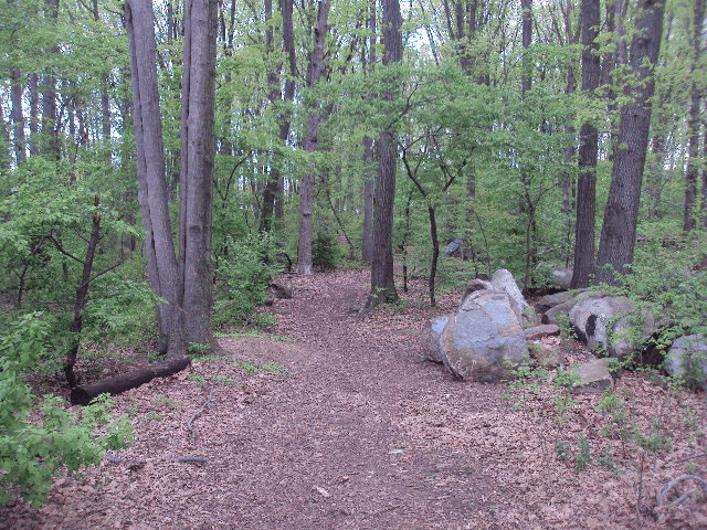 Ingram Woods - Image 2