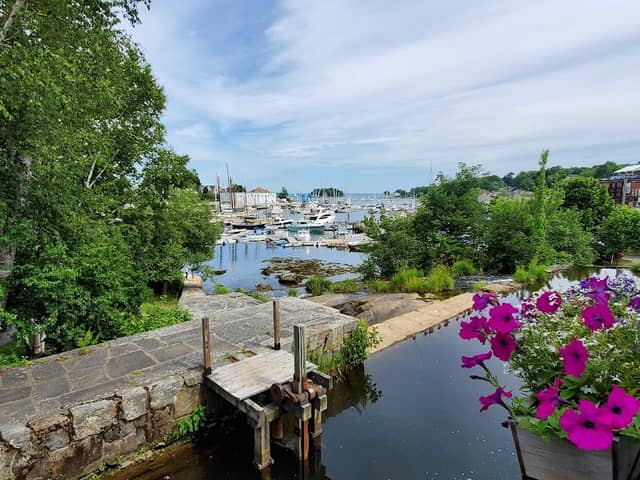 Harbor Park - Image 1