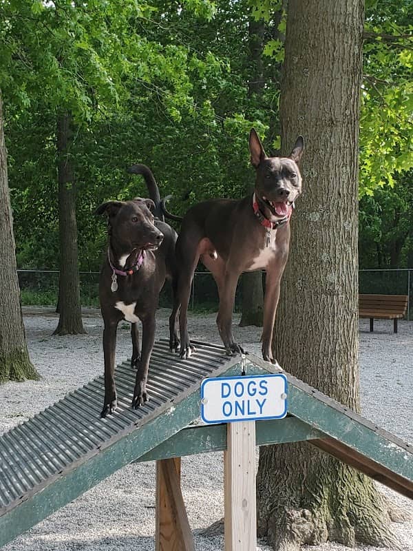 Avon Lake Dog Park - Image 2