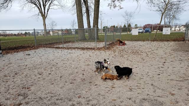 Avon Lake Dog Park - Image 1