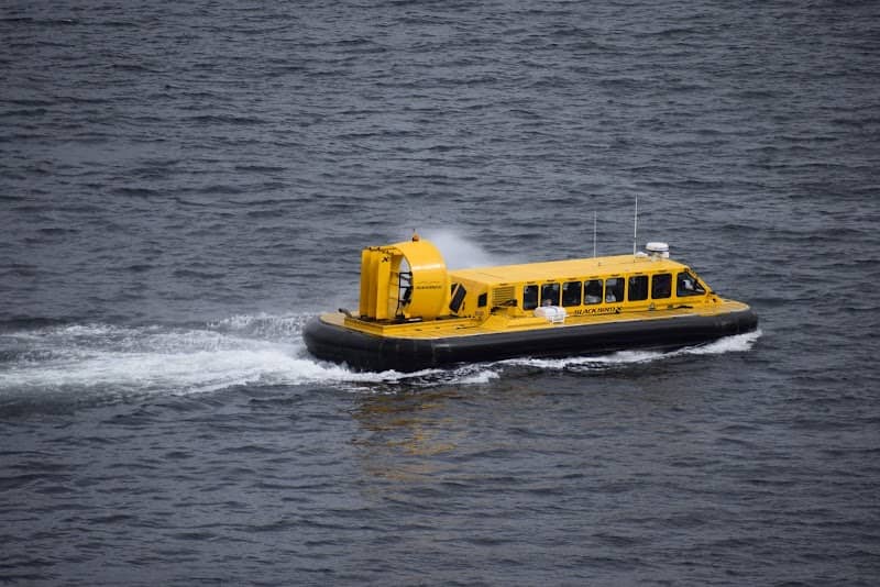 Hovercraft Eco Adventure & Wildlife Viewing - Image 1