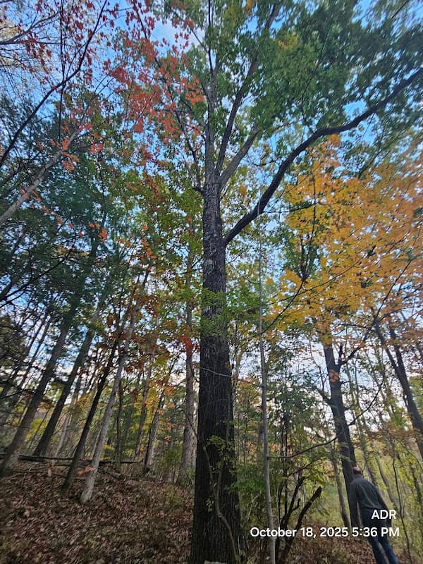 Wachoosik Park - Image 2