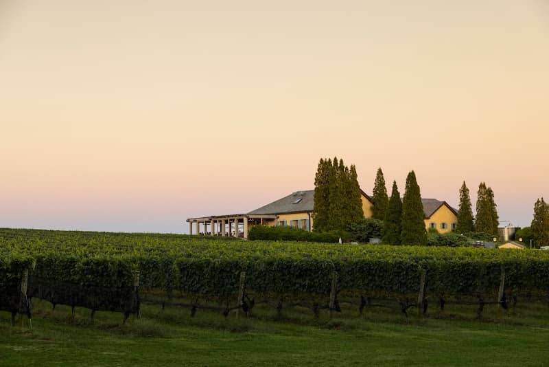 Wölffer Estate Vineyard - Image 1
