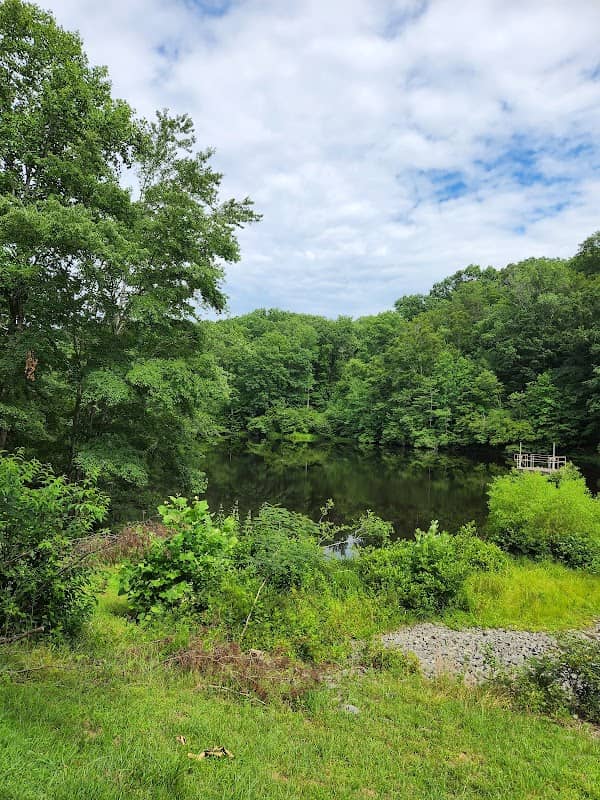 Van Clief Nature Area - Image 1