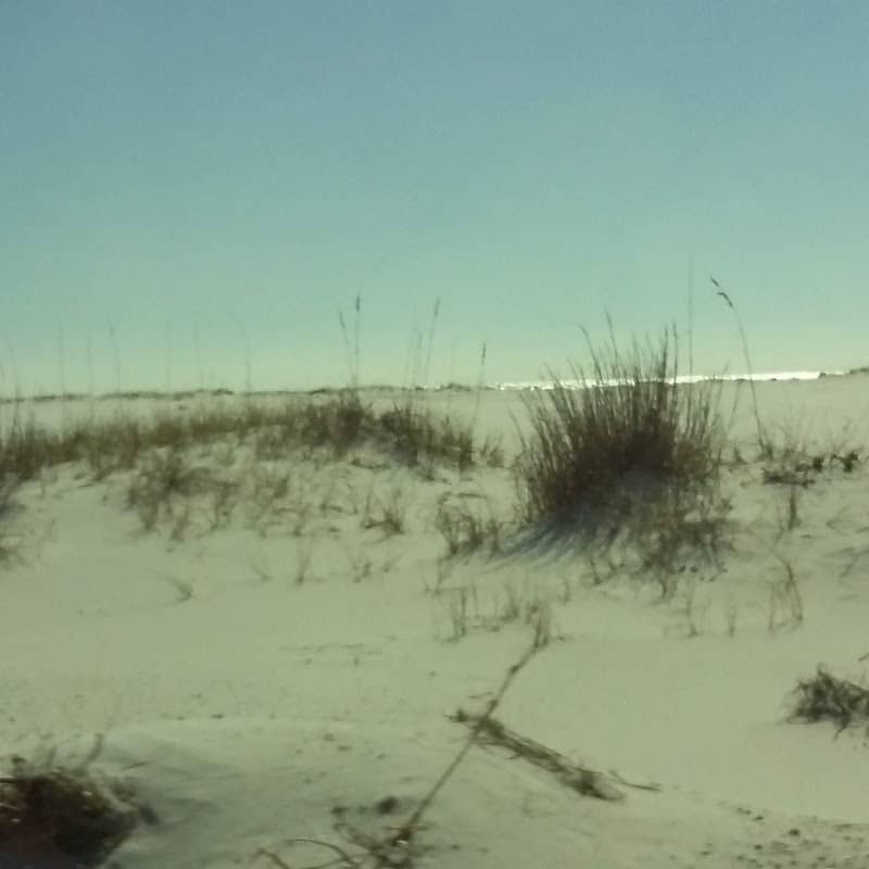 Hodges Park - Image 1