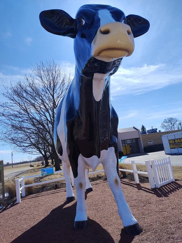 “Big Cow” - Image 2