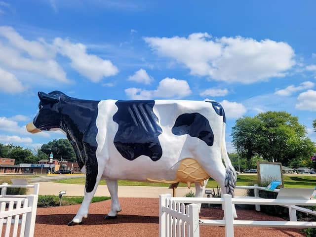 “Big Cow” - Image 1