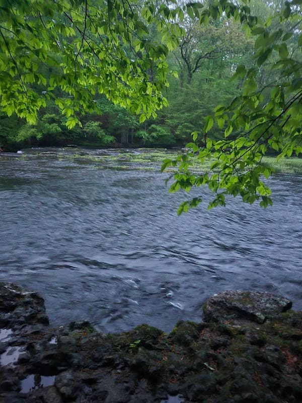 Fred Deadman Park - Image 2